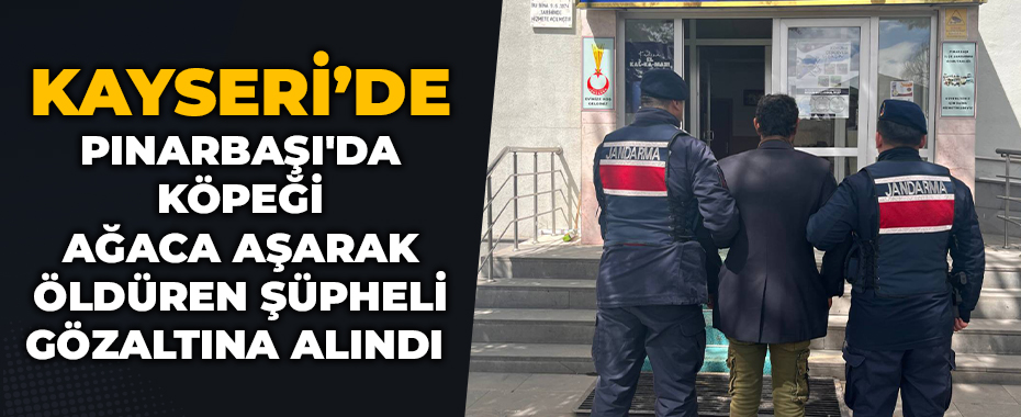 Pınarbaşı'da köpeği ağaca aşarak öldüren şüpheli gözaltına alındı