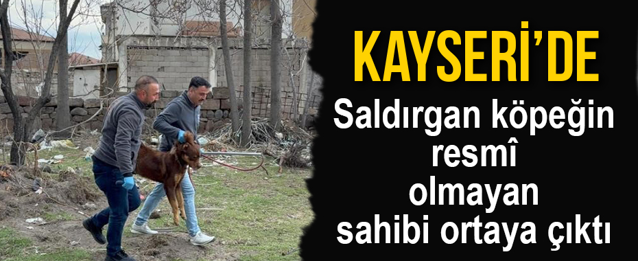 Saldırgan köpeğin resmî olmayan sahibi ortaya çıktı
