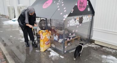 Soğuk kış günlerinde kediler için ısıtmalı yuva yaptılar