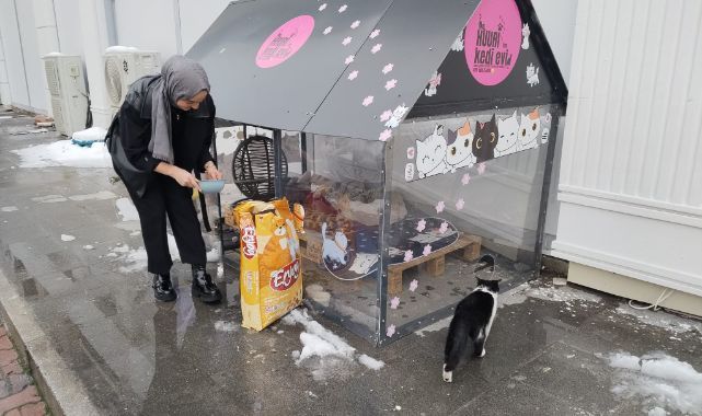 Soğuk kış günlerinde kediler için ısıtmalı yuva yaptılar