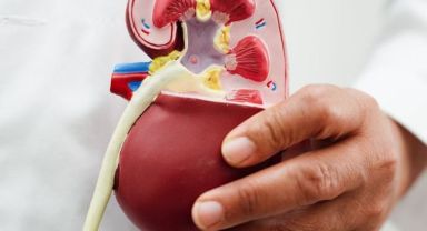 Türkiye’de Her 7 Erişkinden Biri Böbrek Hastası: Sağlık Bakanlığı’ndan Kritik Uyarı