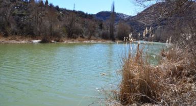 Zamantı Irmağı’nda su debisi yükseldi