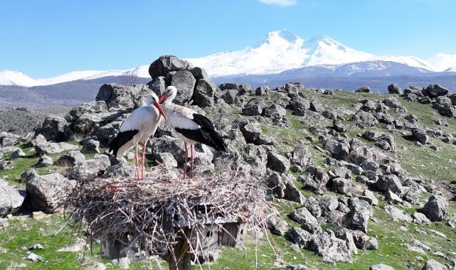 Doğanın uyanışı, Hürmetçi Sazlığı'nda sahneleniyor