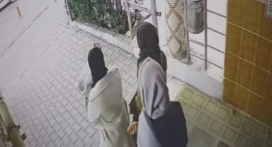 Ev fareleri kameraya yakalandı