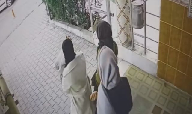 Ev fareleri kameraya yakalandı