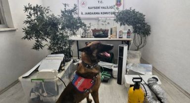 Kayseri’de 1 kişiye uyuşturucuya gözaltısı