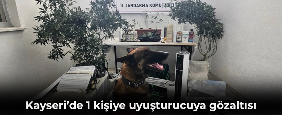 Kayseri’de 1 kişiye uyuşturucuya gözaltısı