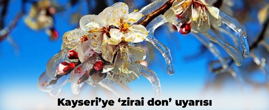 Kayseri’ye ‘zirai don’ uyarısı