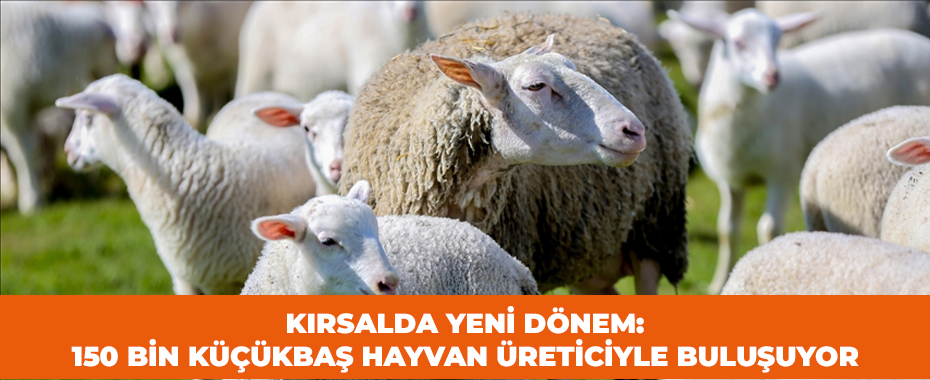 Kırsalda Yeni Dönem: 150 Bin Küçükbaş Hayvan Üreticiyle Buluşuyor