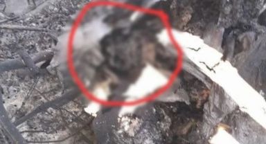 Körfez’de Kanlı Propaganda Savaşı: İran, Trump’ın 