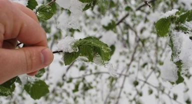 Meteoroloji’den Kayseri için yağmur, kar ve zirai don uyarısı