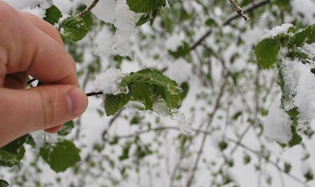 Meteoroloji’den Kayseri için yağmur, kar ve zirai don uyarısı