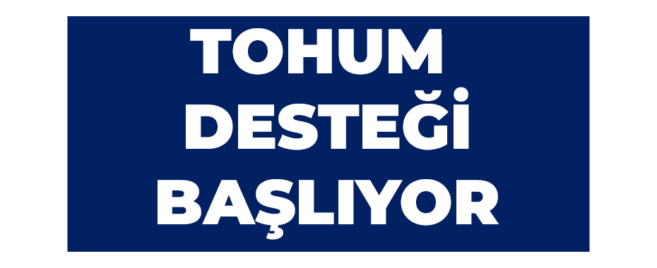 Tohum desteği başlıyor